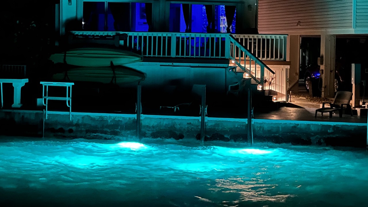 Photo of Outdoor in Cudjoe Key