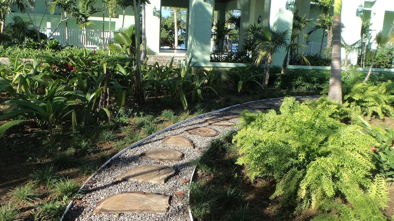 Photo of Outdoor in Orange Bay