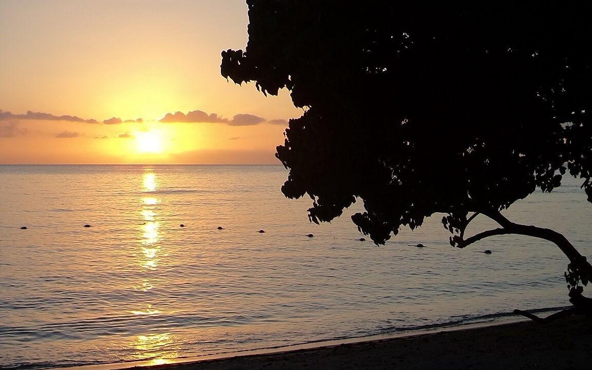 Photo of Others in Orange Bay