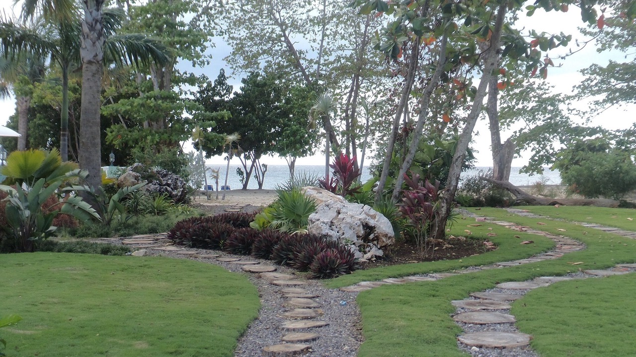 Photo of Outdoor in Orange Bay