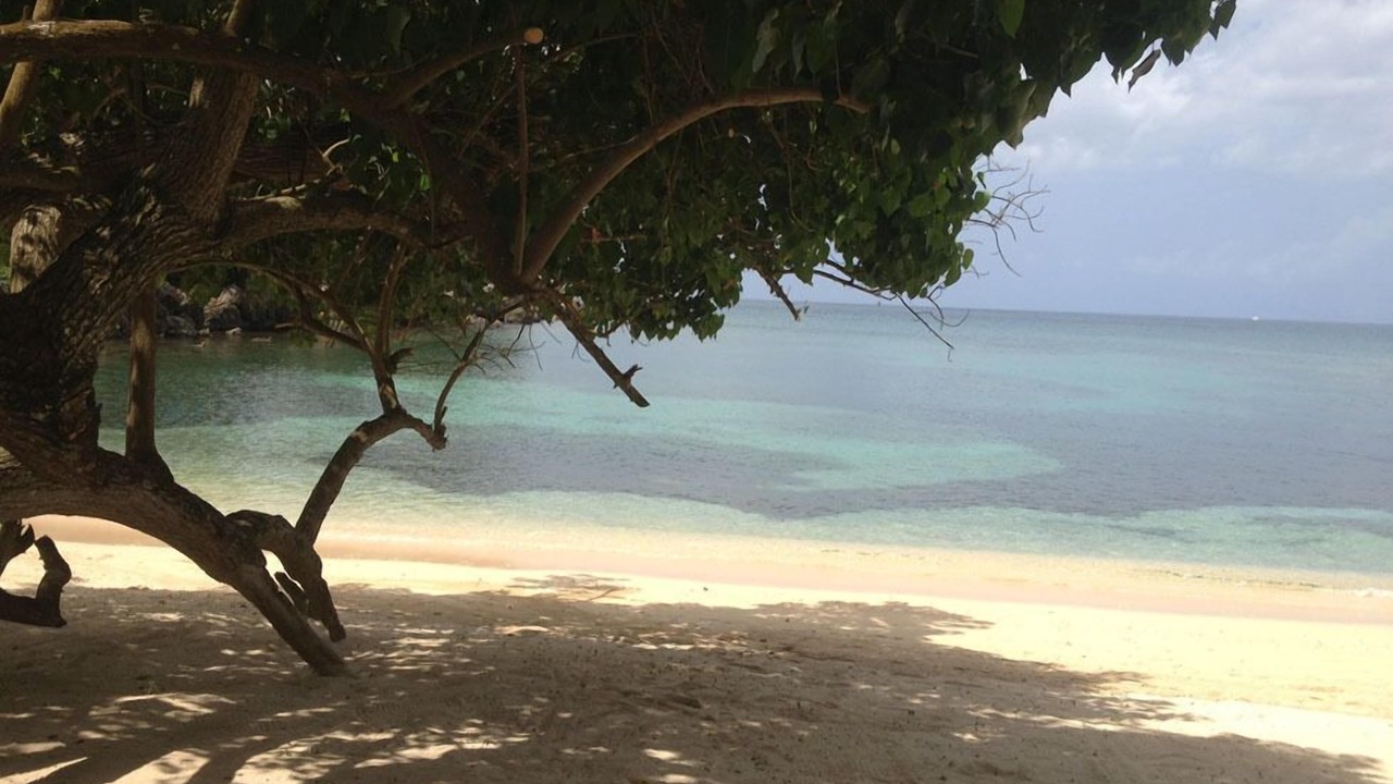 Photo of Others in Orange Bay