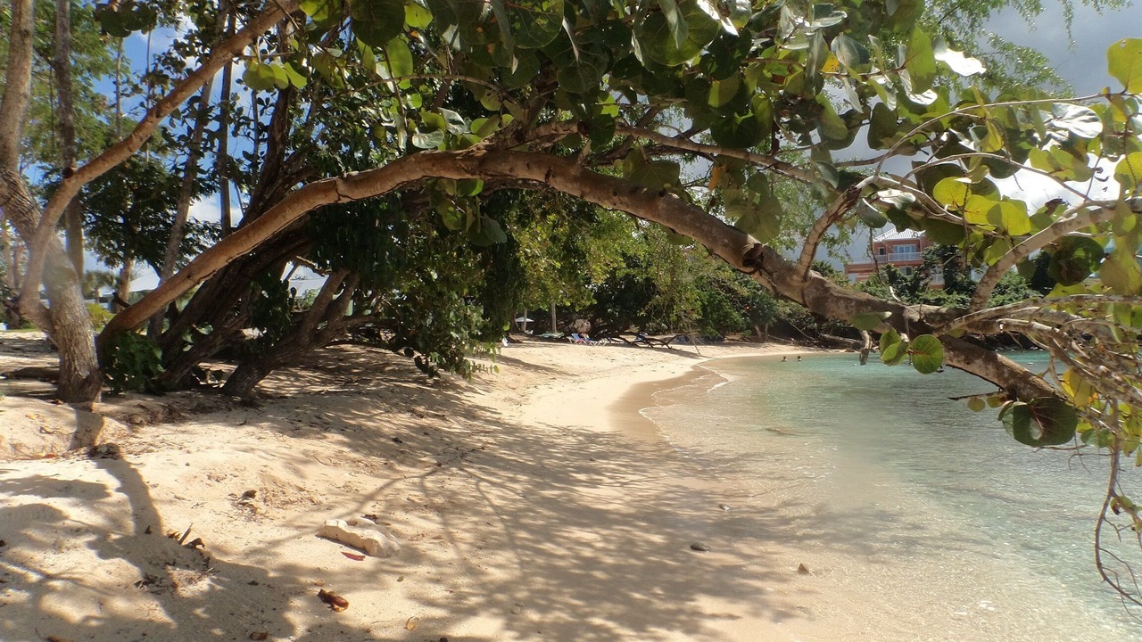 Photo of Others in Orange Bay