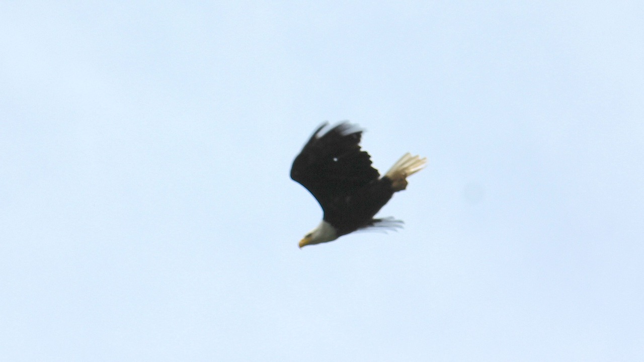 Photo of Others in Deming