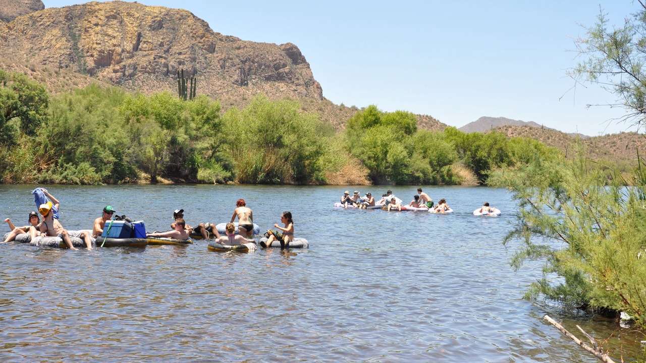 Photo of Others in Alta Mesa