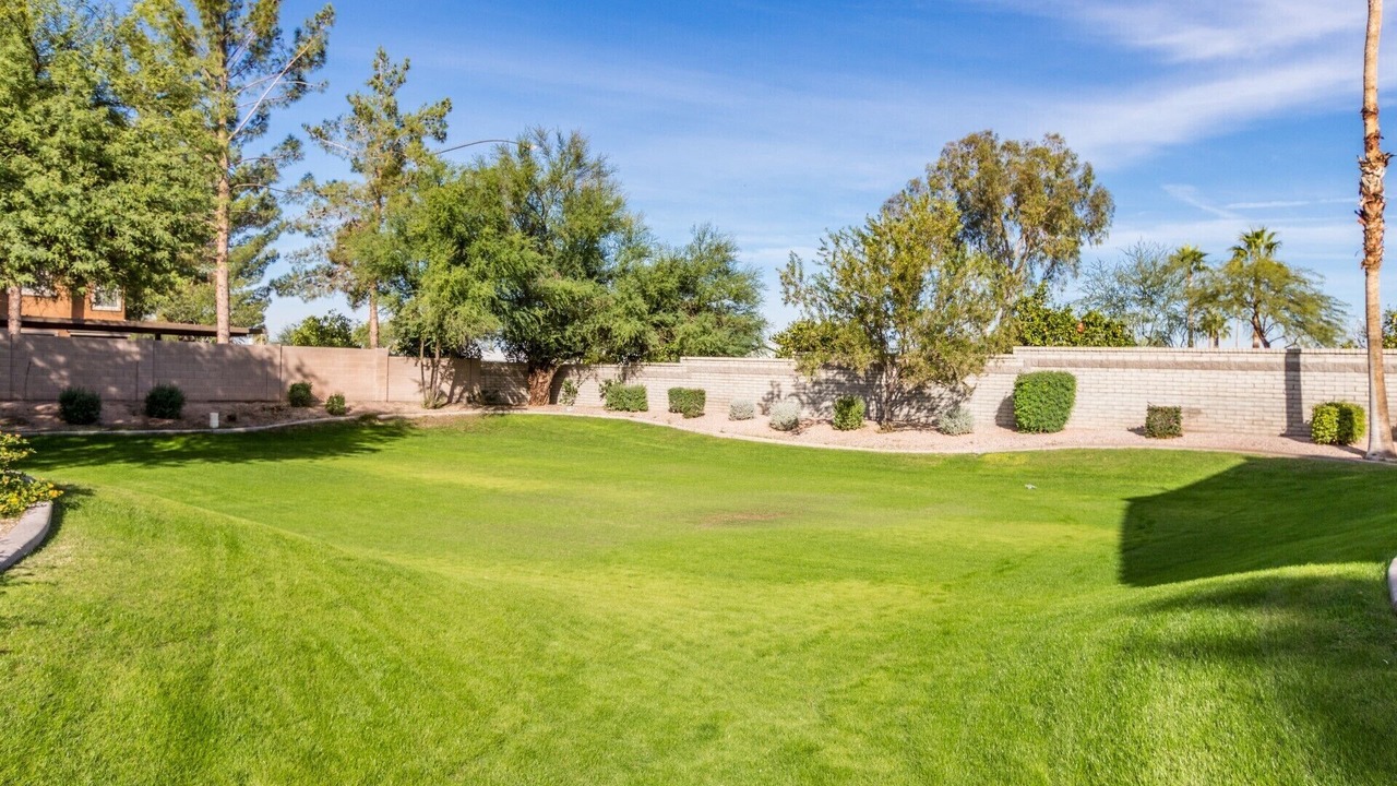 Photo of Outdoor in Alta Mesa