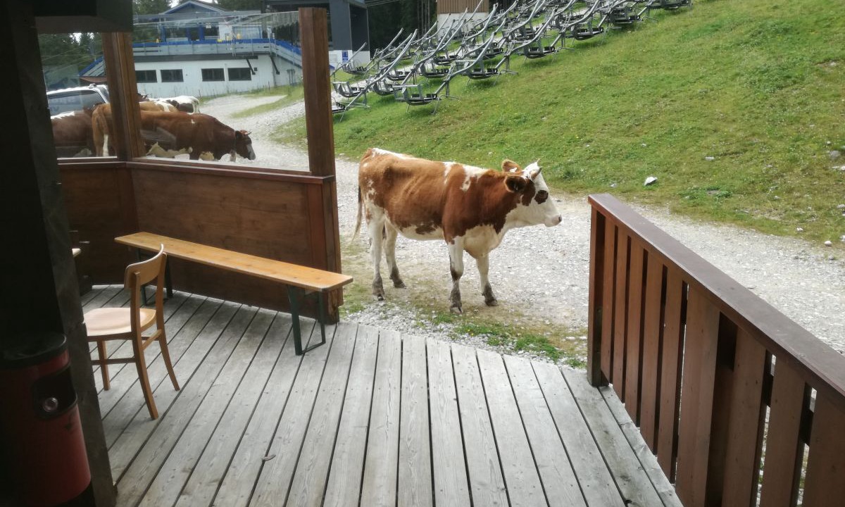Photo of Outdoor in Forstau