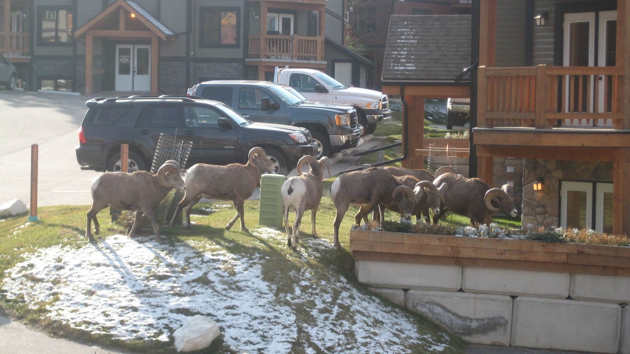 Photo of Outdoor in East Kootenay