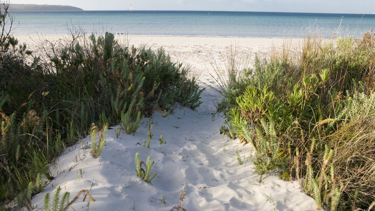 Photo of Others in Island Beach