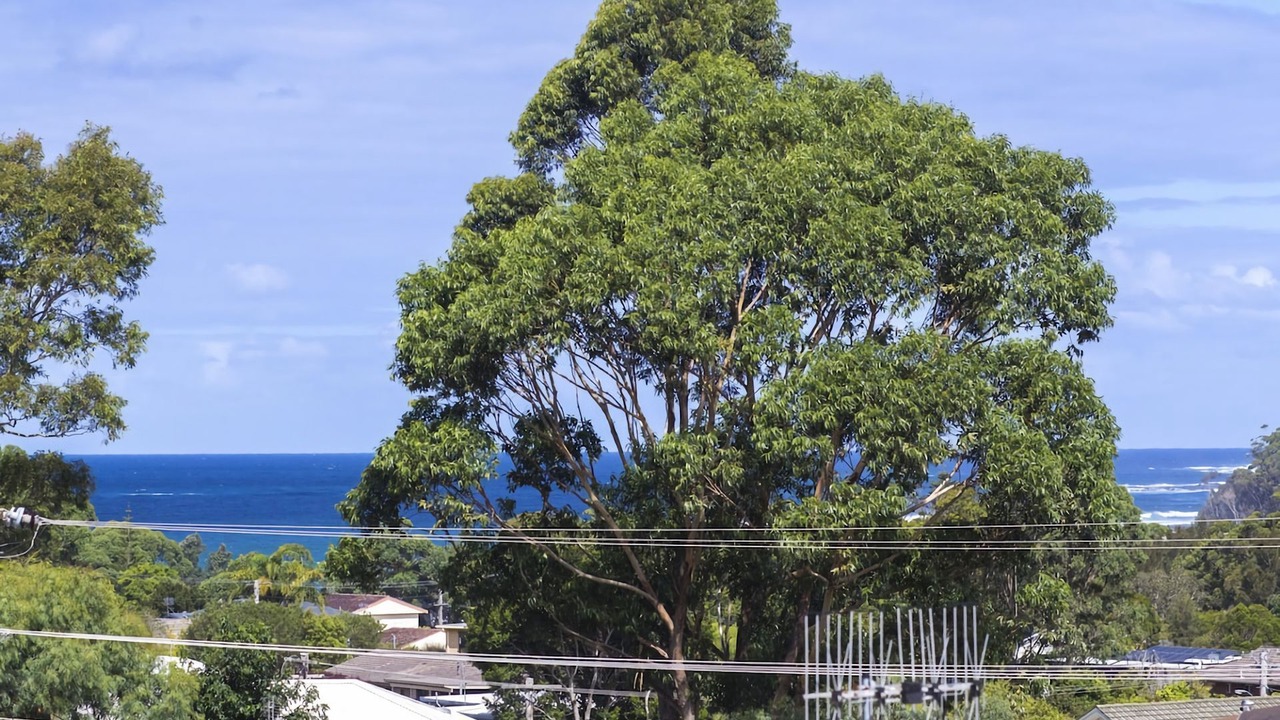 Photo of Outdoor in Mollymook Beach