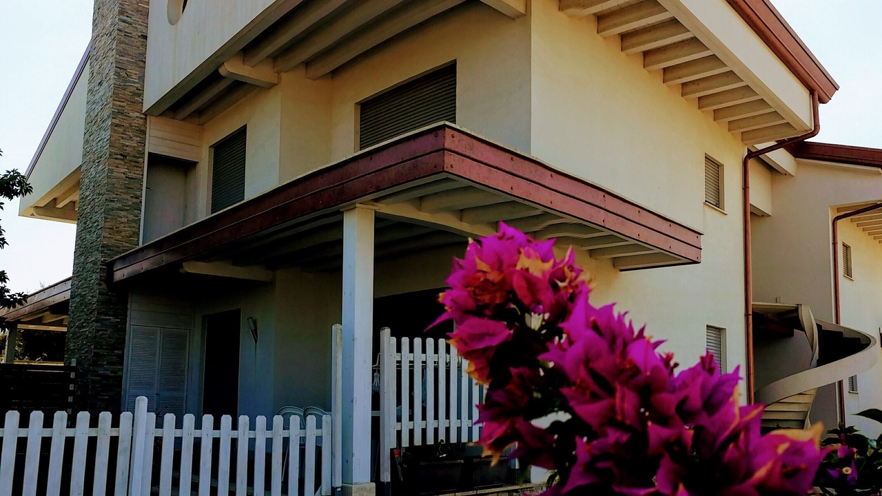 Photo of Outdoor in Focene
