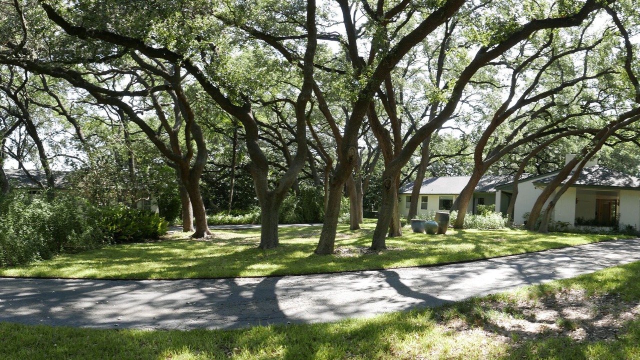 Photo of Outdoor in Medical Center District