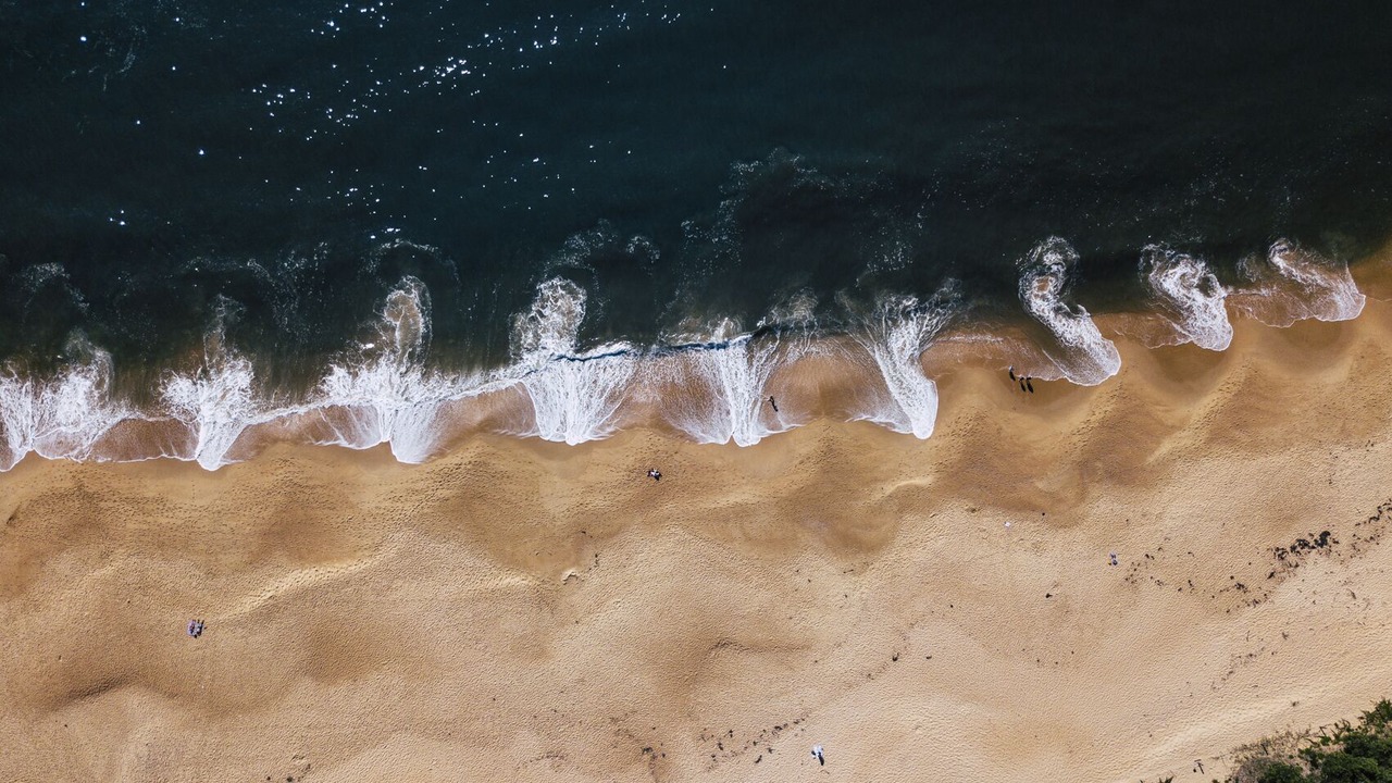 Photo of Others in Pearl Beach