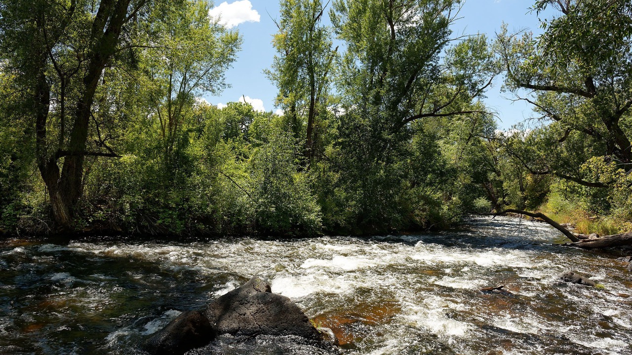 Photo of Outdoor in Basalt