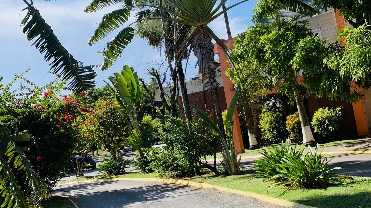 Photo of Outdoor in West End