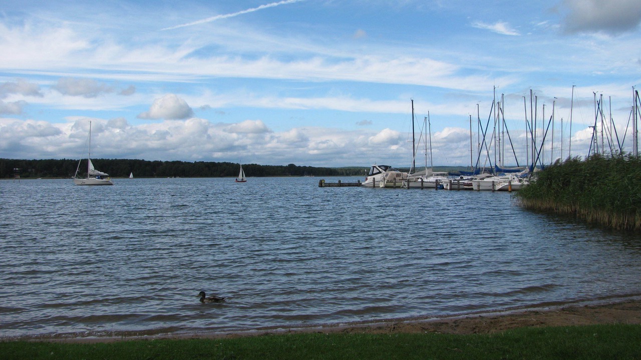 Photo of Others in Bad Saarow