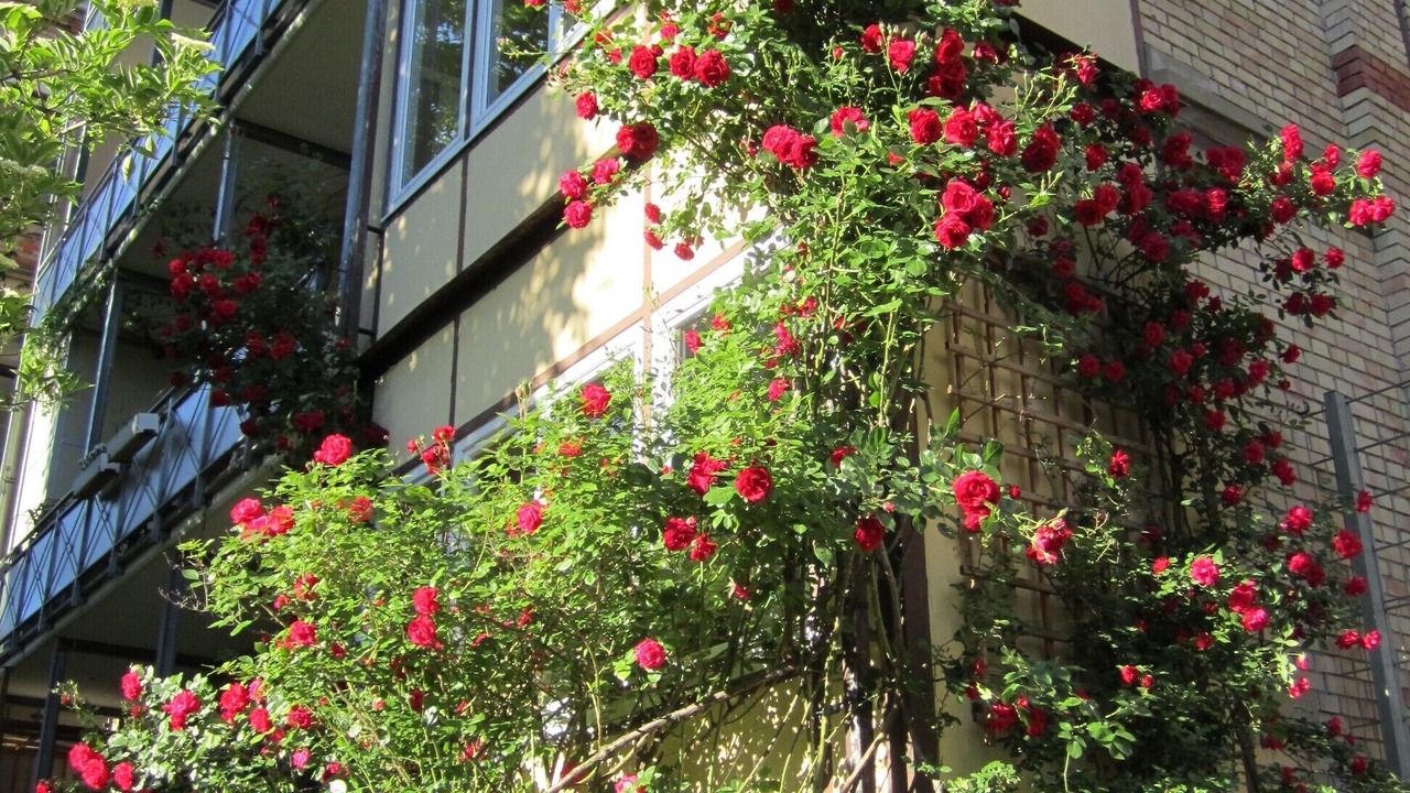 Photo of Outdoor in Kernerviertel