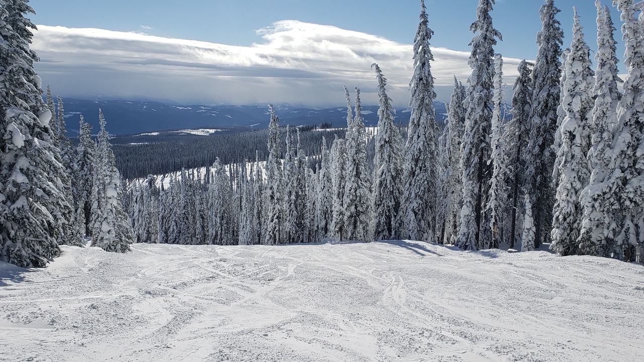 Photo of Others in Snow Pine Estates