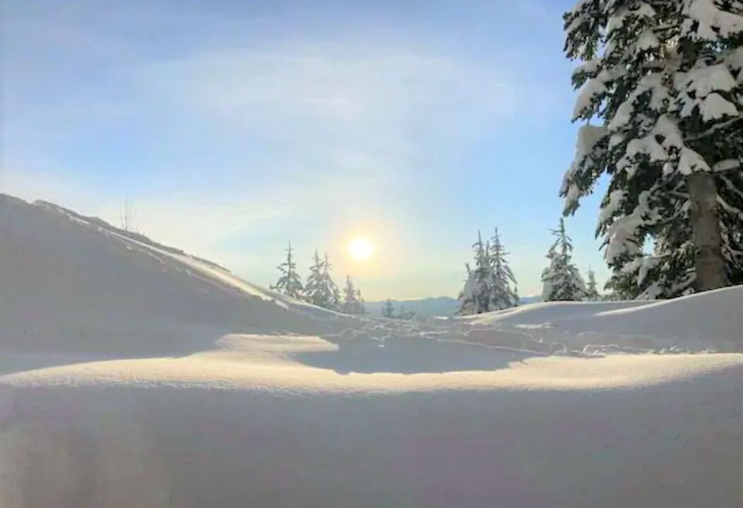 Photo of Others in Snow Pine Estates