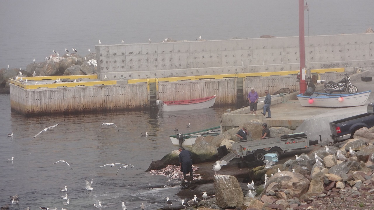 Photo of Others in Flatrock