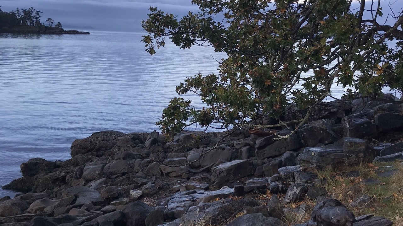 Photo of Others in Pender Island