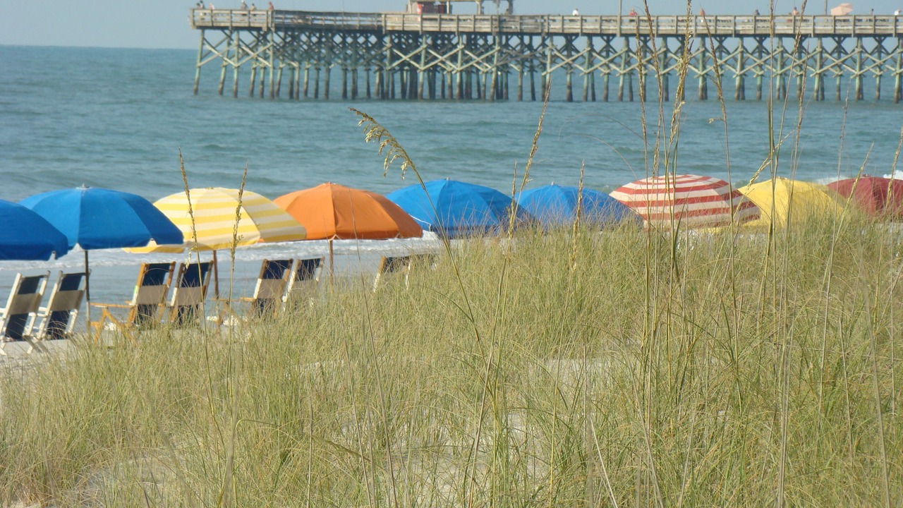 Photo of Others in Arcadian Shores