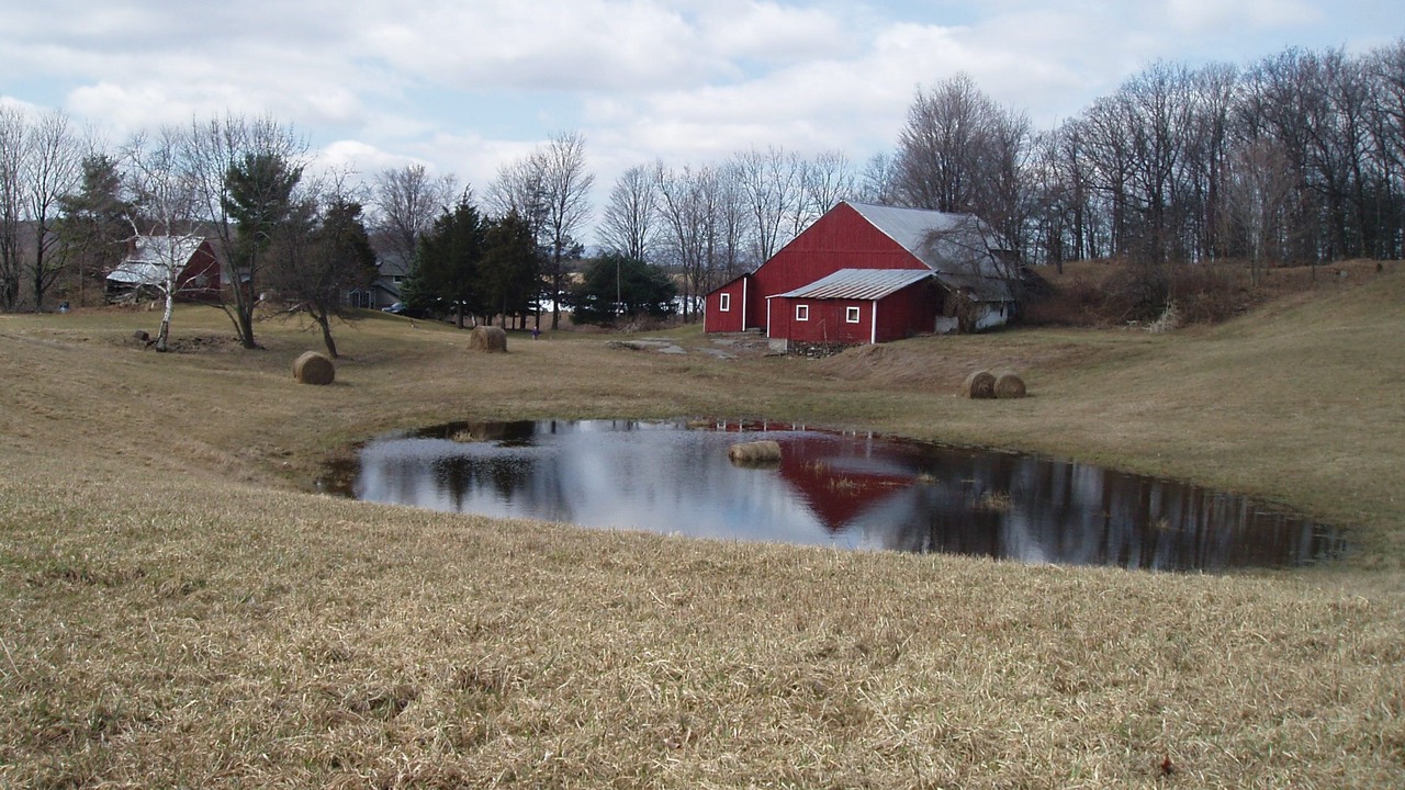 Photo of Outdoor in Town of New Baltimore
