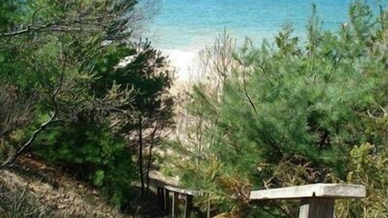 Photo of Others in Manistee