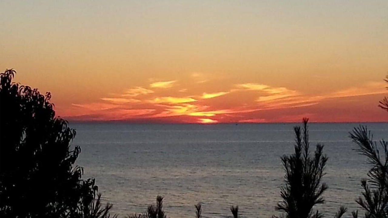 Photo of Others in Manistee