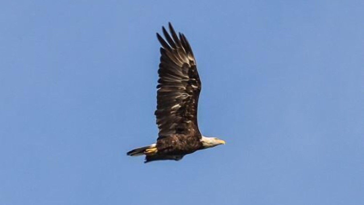 Photo of Others in Manistee