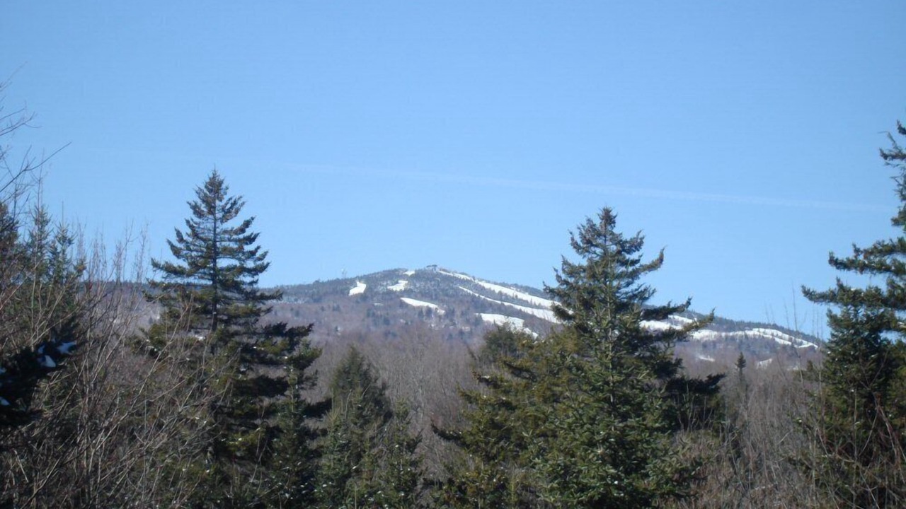 Photo of Others in West Dover