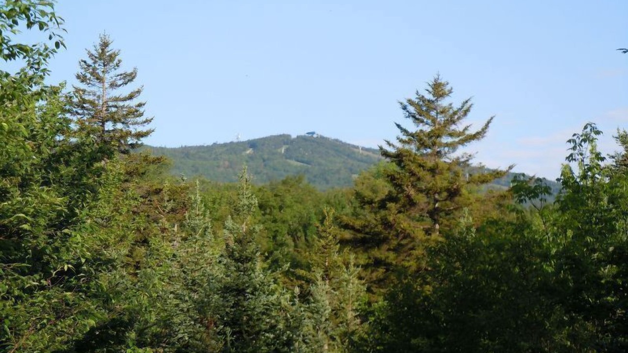 Photo of Others in West Dover