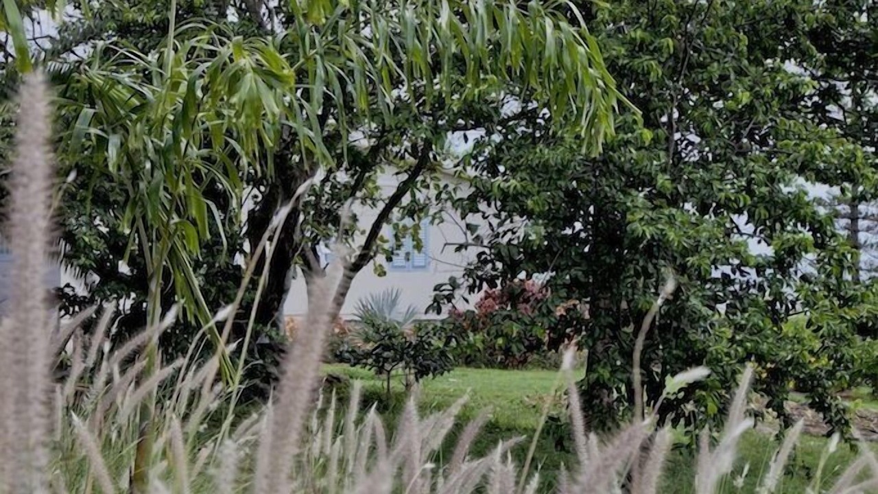 Photo of Outdoor in Bath