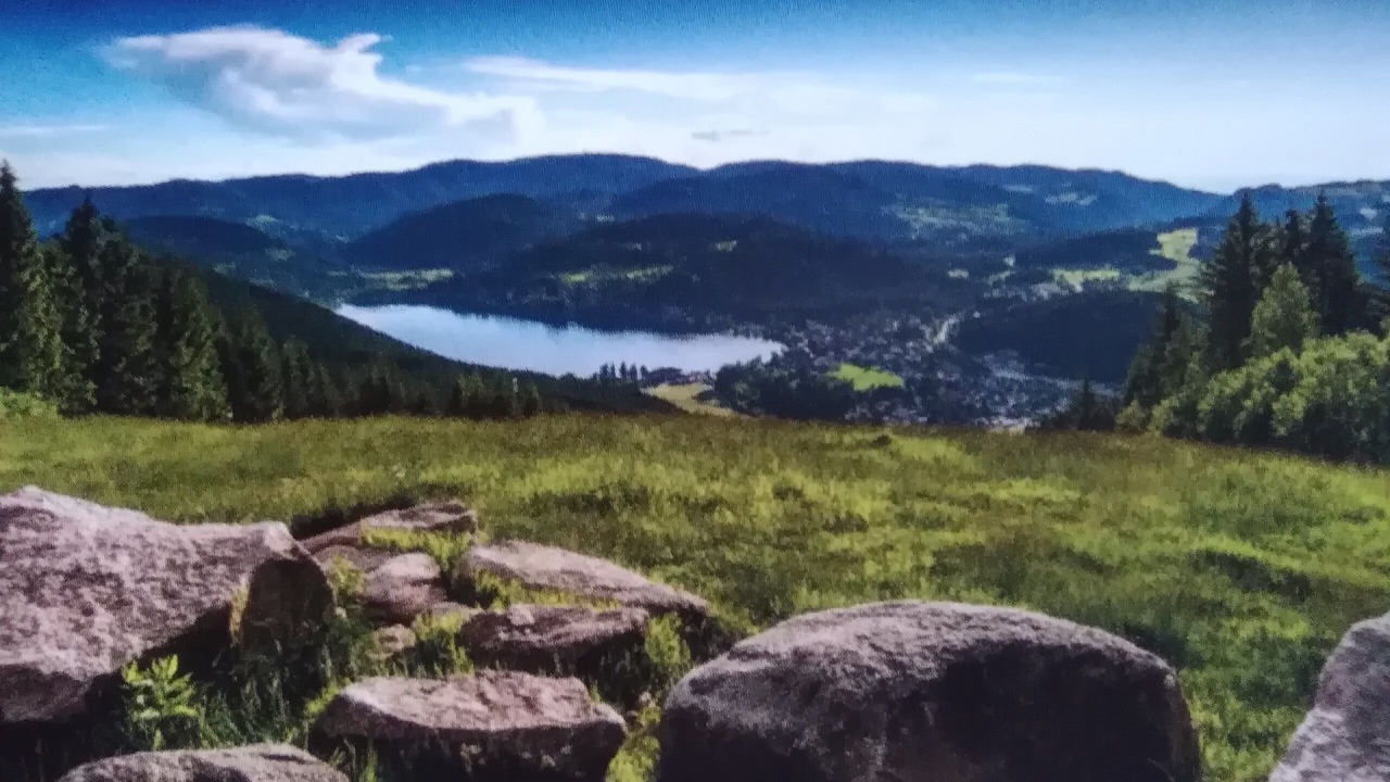 Photo of Others in Schopfheim