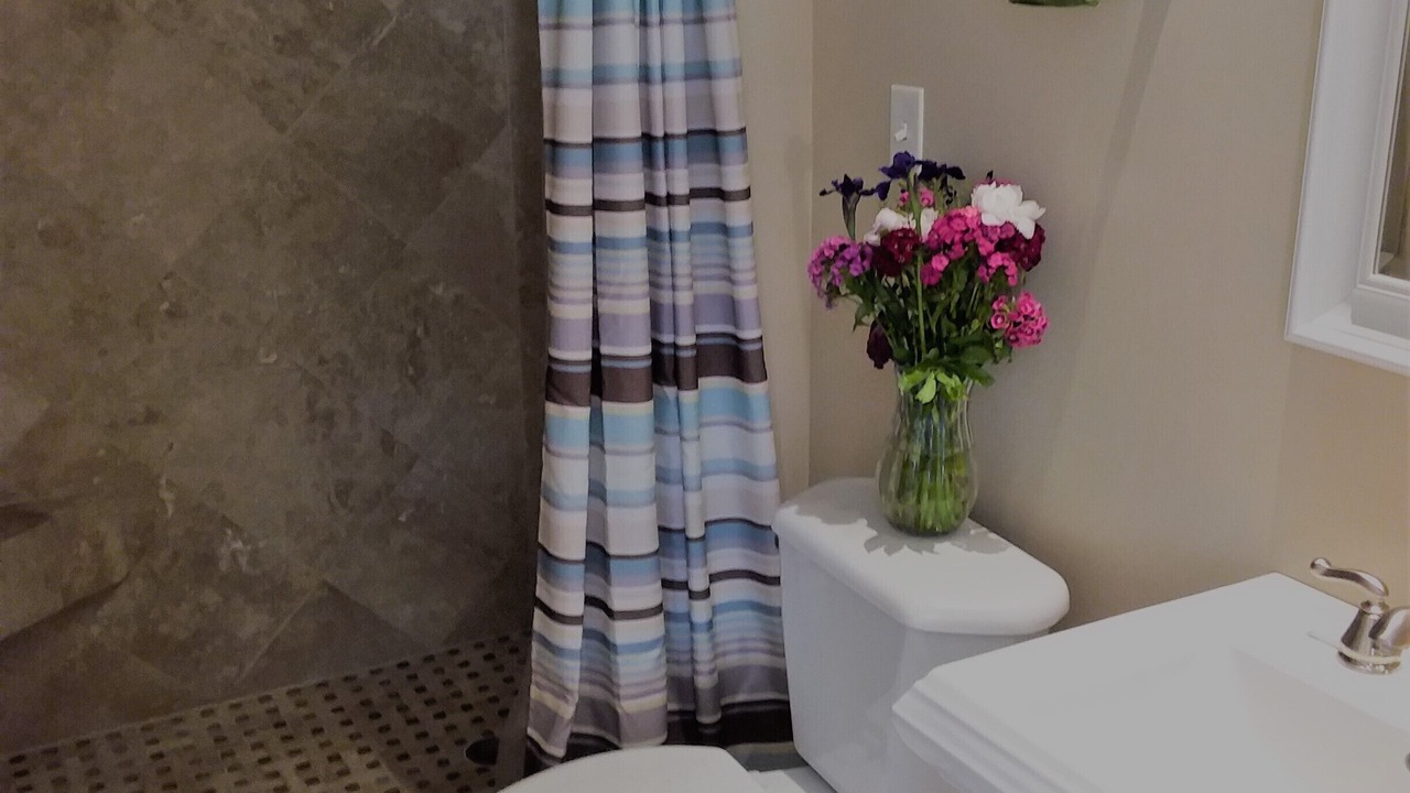 Photo of Bathroom in Ludington