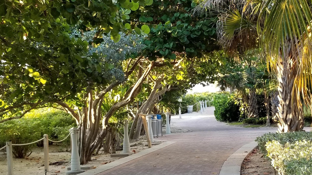 Photo of Others in South Beach