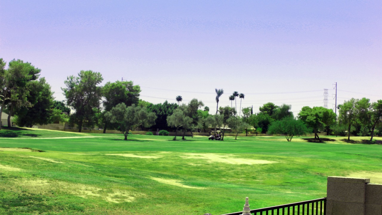 Photo of Others in Tempe