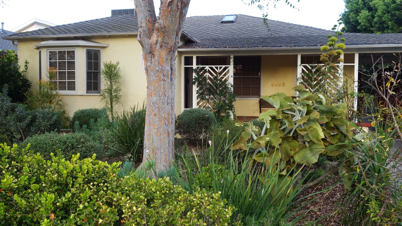 Photo of Outdoor in Mar Vista