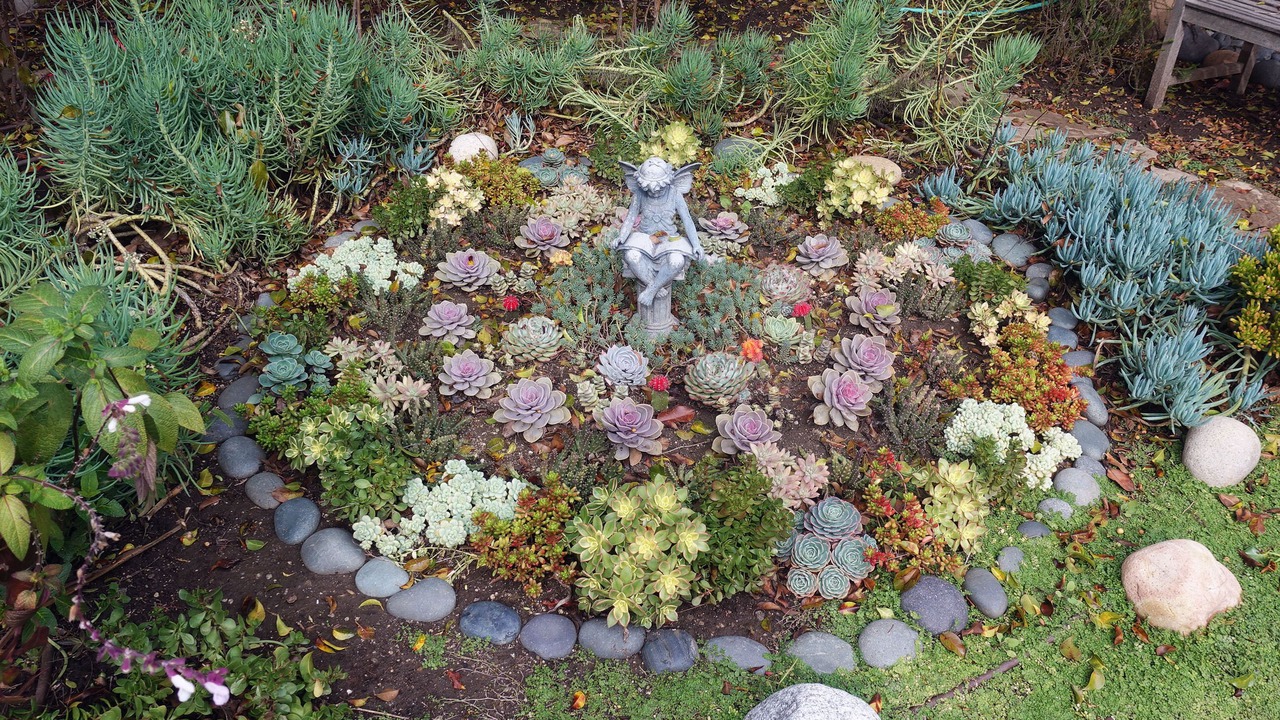 Photo of Outdoor in Mar Vista