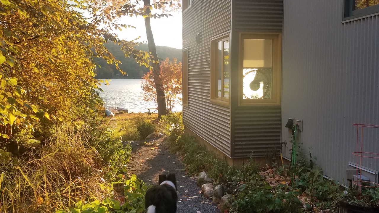 Photo of Outdoor in Forest Dale