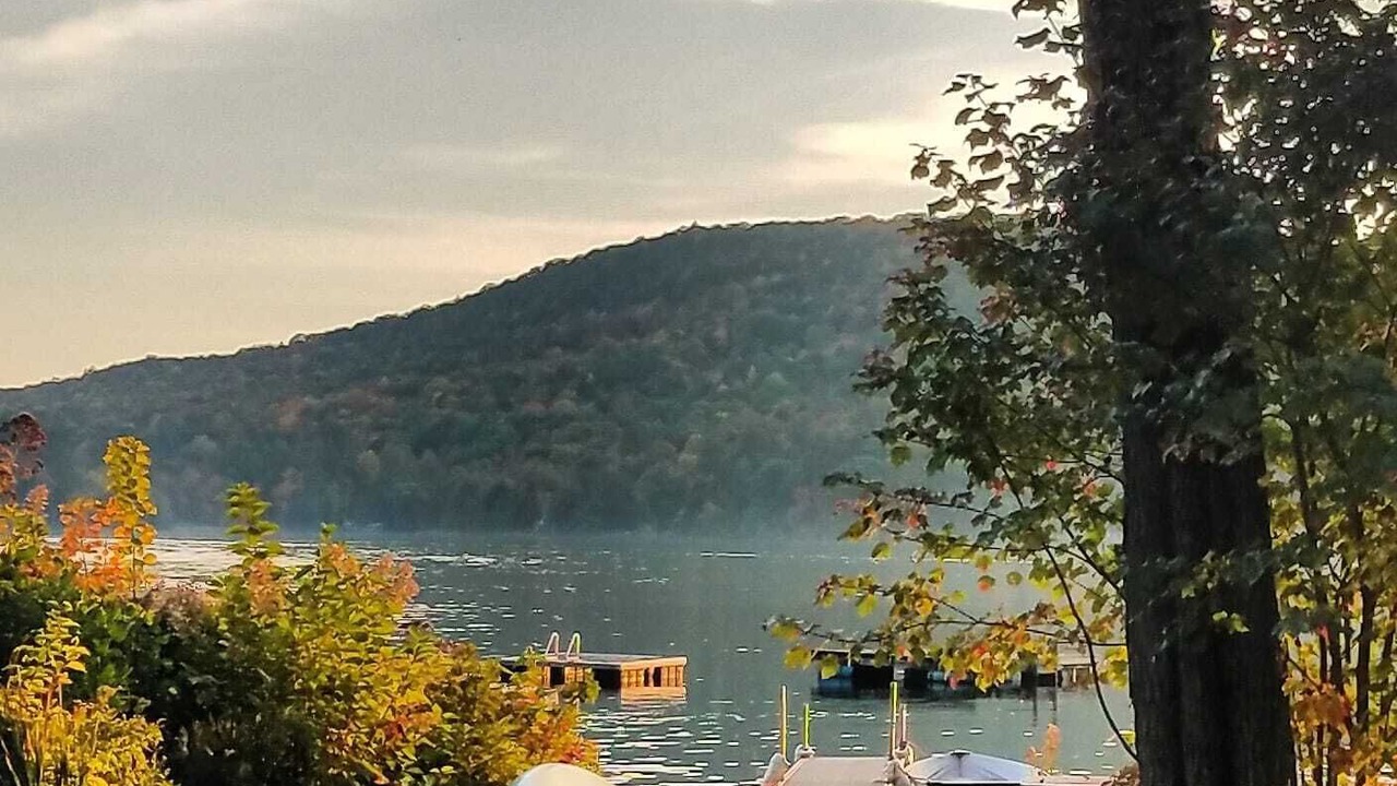 Photo of Others in Forest Dale