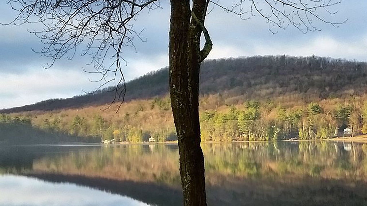 Photo of Others in Forest Dale