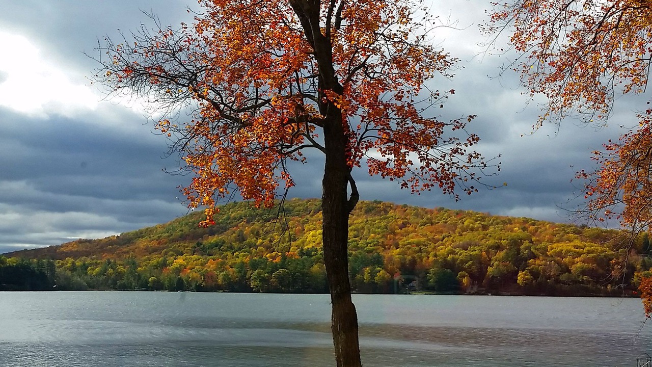 Photo of Others in Forest Dale