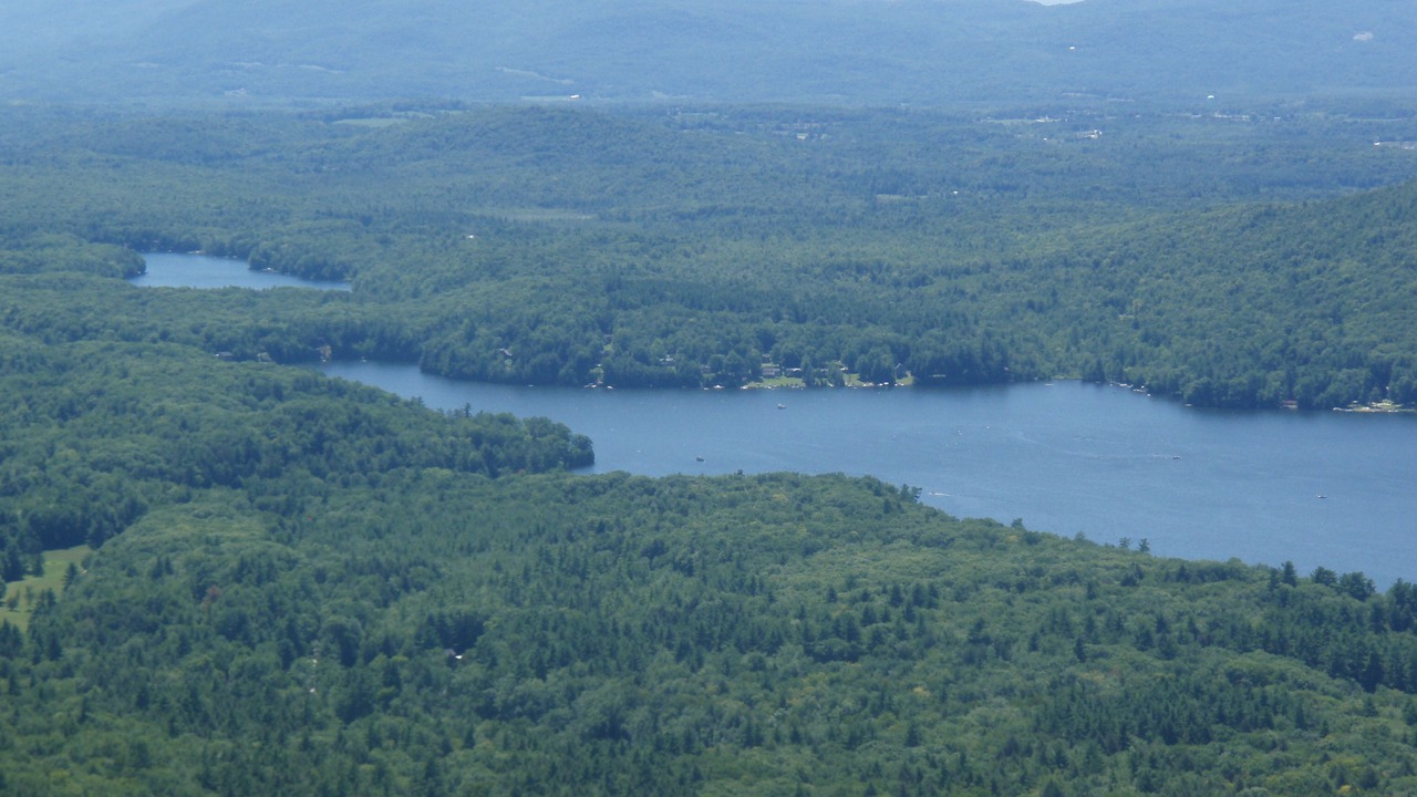 Photo of Outdoor in Forest Dale