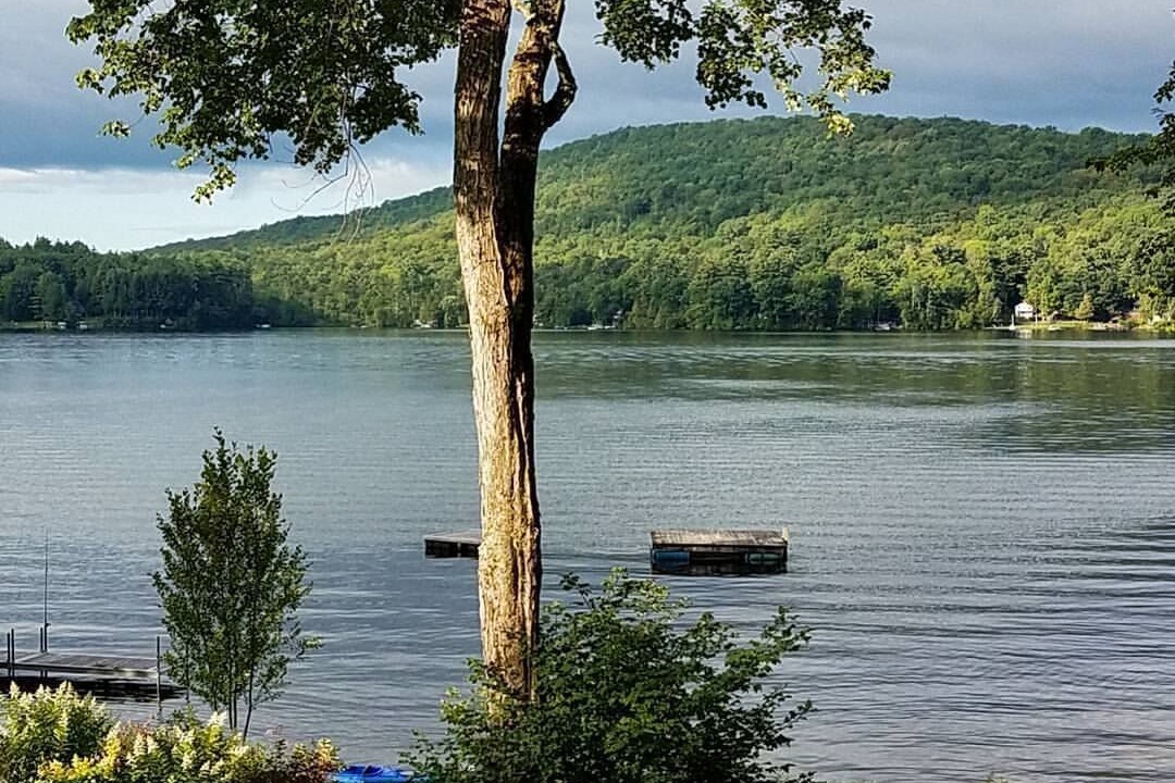 Photo of Others in Forest Dale