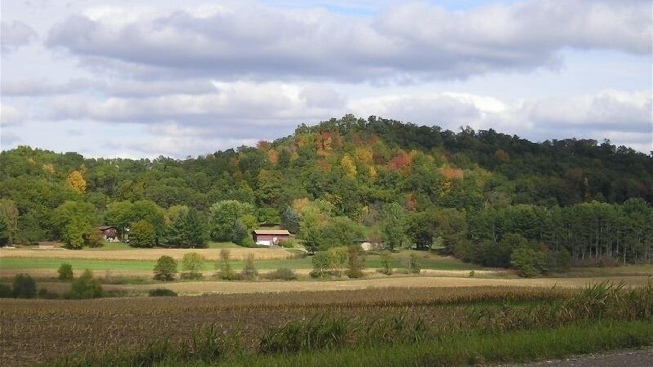 Photo of Others in Sparta