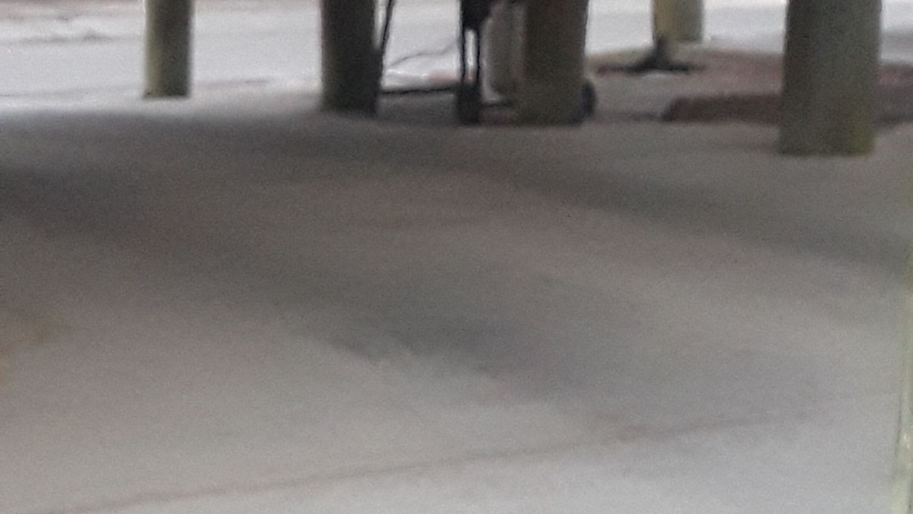 Photo of Others in Surfside Beach