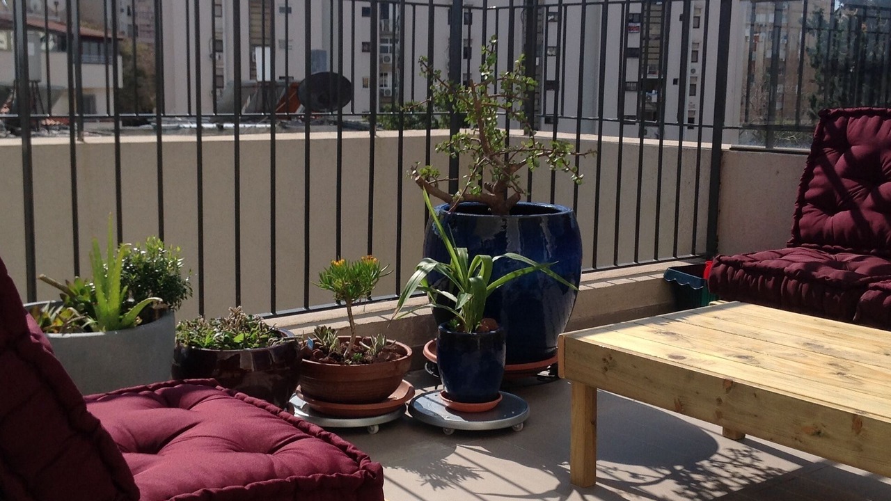 Photo of Patio Balcony in Jaffa