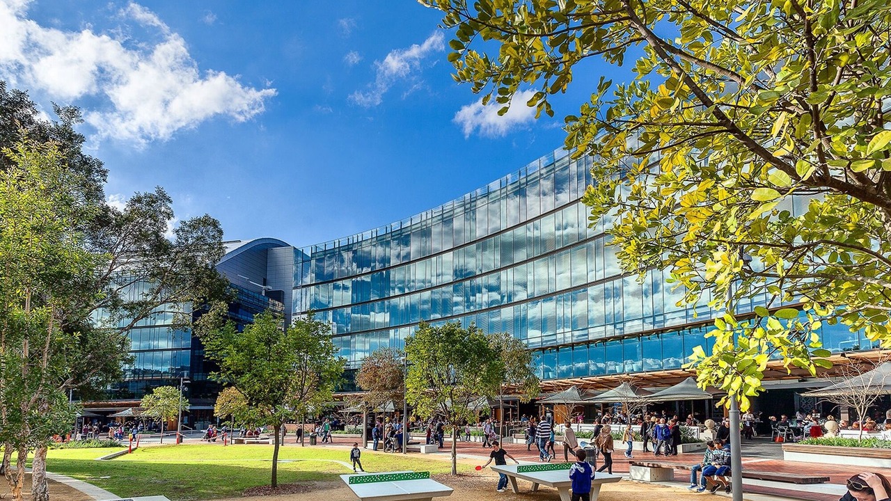 Photo of Others in Darling Harbour