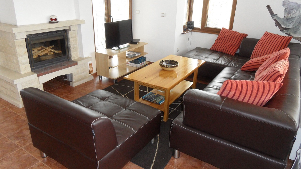 Photo of Livingroom in Tsigov Chark