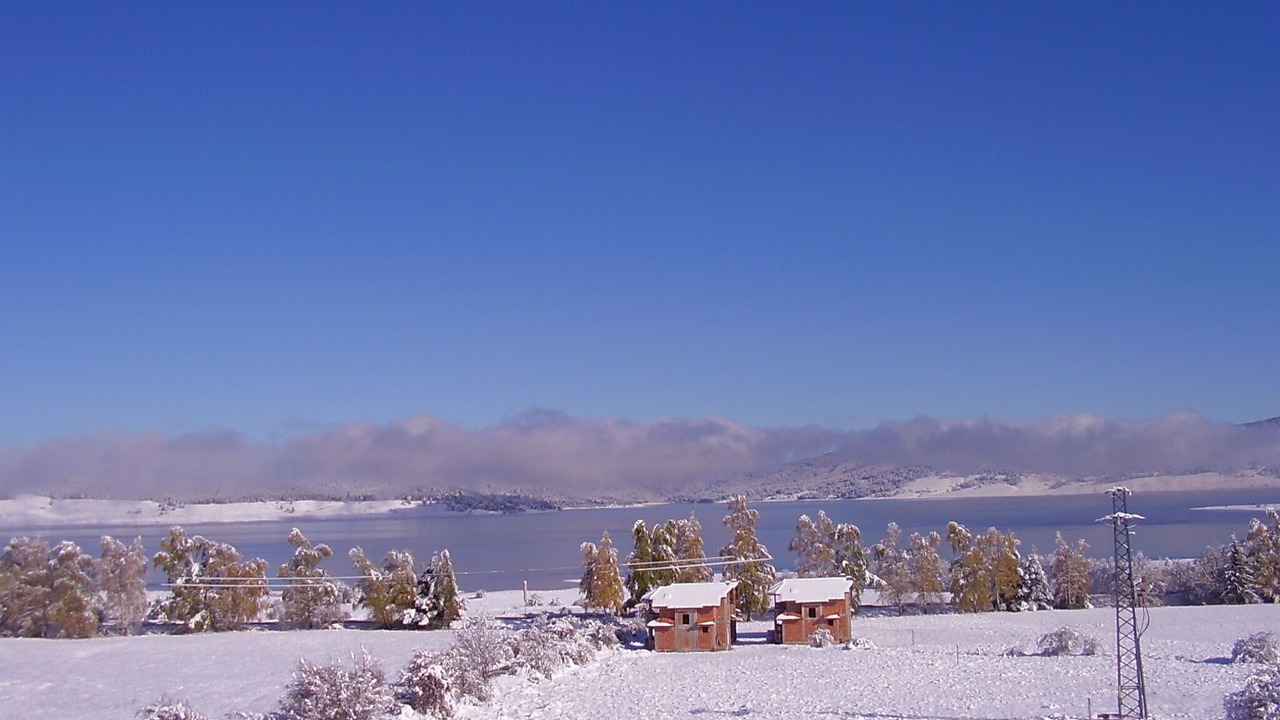 Photo of Others in Tsigov Chark